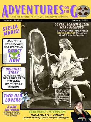 cover image of Adventures on the Go Book 4